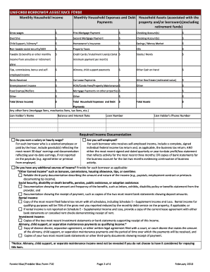 Uniform Borrower Assistance Form