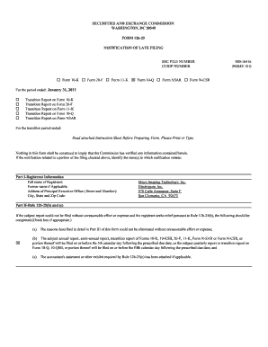 Form 12b-25 Notification of Late Filing