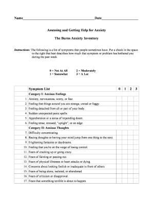 Burns Anxiety Inventory Form