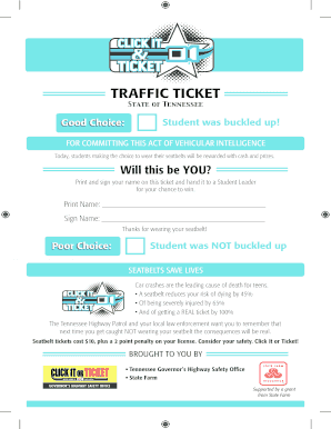 Tennessee Seatbelt Reward Ticket