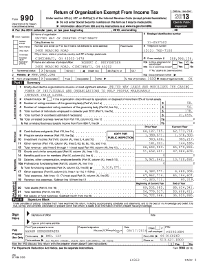 Form 990 Tax Exempt Organization Return