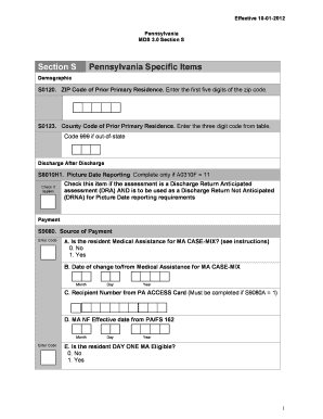 Pennsylvania MDS 3.0 Section S Form