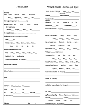 PINOS ALTOS VFR Fire Size-up & Report