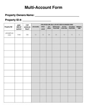 Multi-Account Property Form