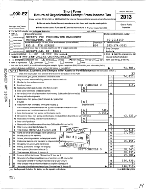 Form 990-EZ 2013
