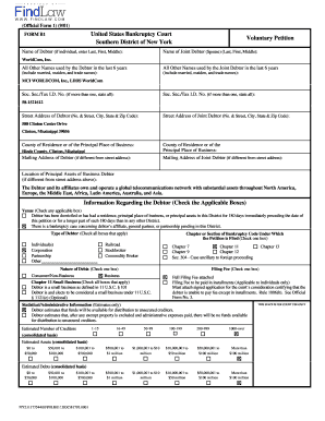 Voluntary Petition Form B1