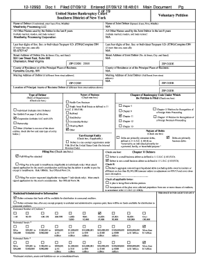 US Bankruptcy Court Voluntary Petition