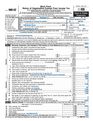 Form 990-EZ 2006