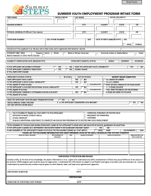 Summer Youth Employment Program Intake Form