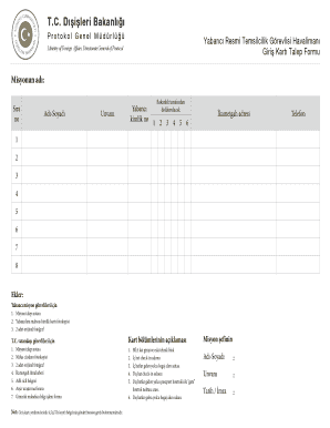 Turkish Ministry of Foreign Affairs Airport Entry Card Application