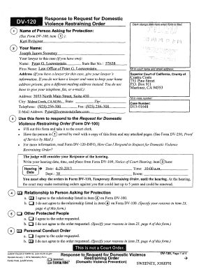 Response to Domestic Violence Restraining Order