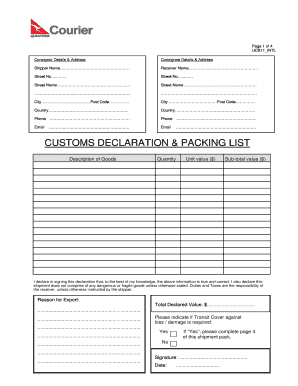 International Customs Declaration Form