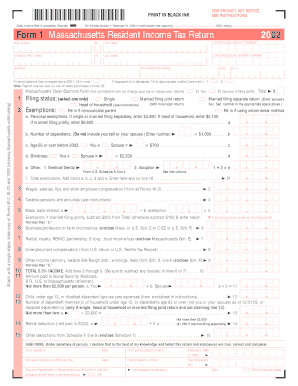 Massachusetts Resident Income Tax Return 2002
