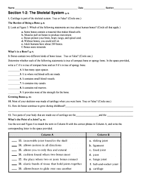 Skeletal System Worksheet