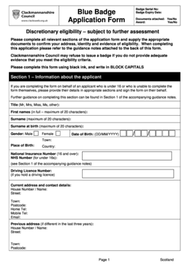 Blue Badge Application Form