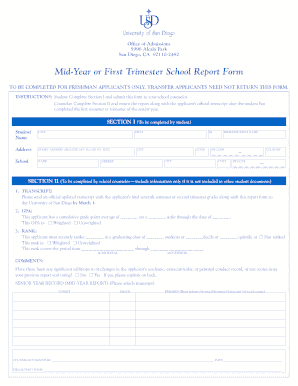 Mid-Year School Report Form