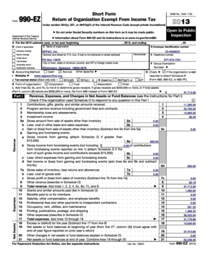 Form 990-EZ 2013