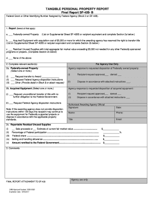 Tangible Personal Property Report SF-428-B