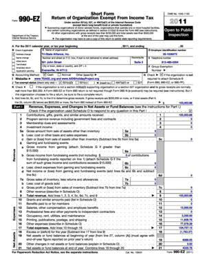 Form 990-EZ Tax Return