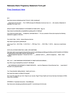 Nebraska Pregnancy Statement Form