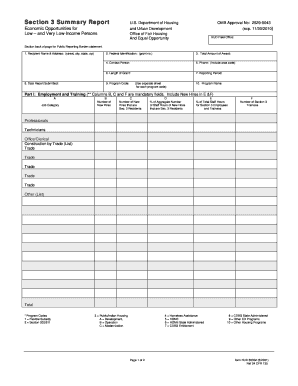Section 3 Summary Report Form 60002