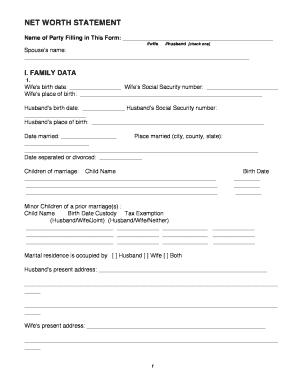 Net Worth Statement Form