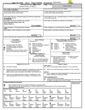Voluntary Bankruptcy Petition Form 1C