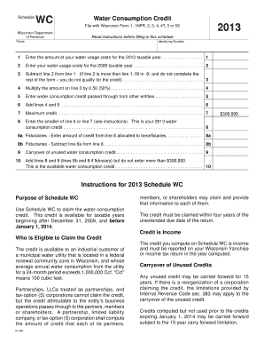 Wisconsin Water Consumption Credit Form