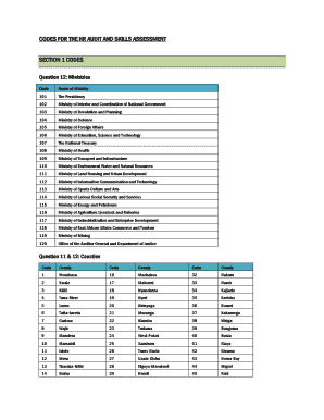 Kenya HR Audit and Skills Assessment Form