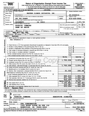 Form 990 2013