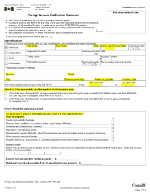 Foreign Income Verification Statement