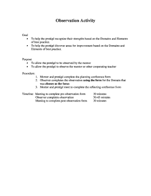 Mentor Observation Activity Form