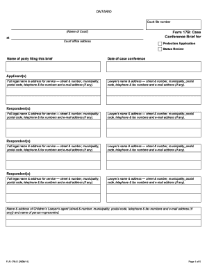 Ontario Case Conference Brief for Protection Application