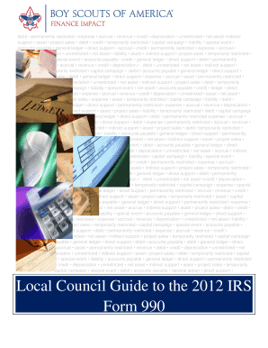 Local Council Guide to the 2012 IRS Form 990