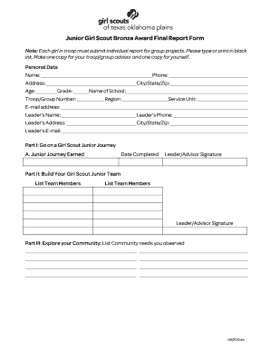 Girl Scout Bronze Award Application Form