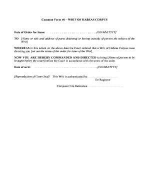 Writ of Habeas Corpus Form 40