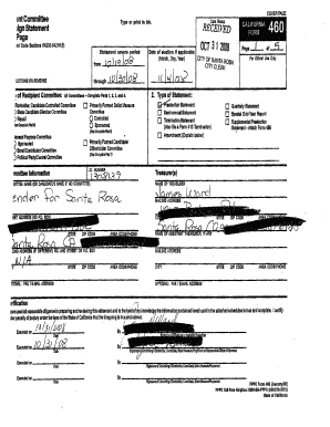 California Campaign Disclosure Statement