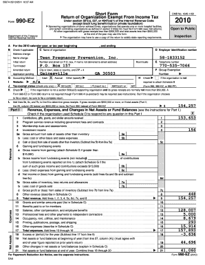 Form 990-EZ Tax Return