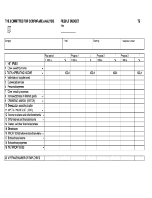 the committee for corporate analysis result budget form