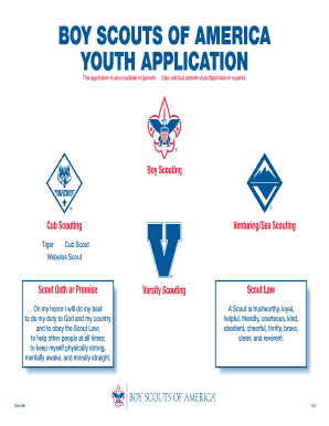 Boy Scouts of America Youth Application