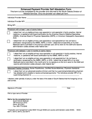 Enhanced Payment Provider Self Attestation Form