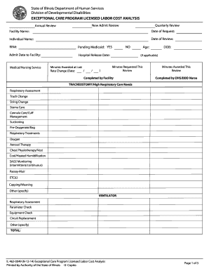 Illinois Exceptional Care Program Licensed Labor Cost Analysis