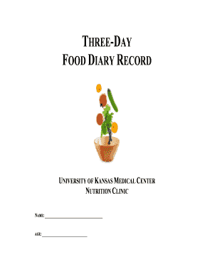 Three-Day Food Diary Record