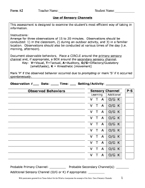 Form preview