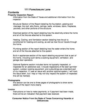 Texas Property Inspection Report