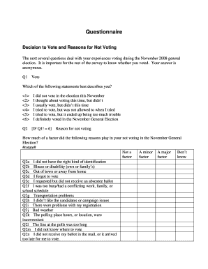 Voting Experience Questionnaire
