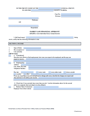 Florida Family Law Financial Affidavit