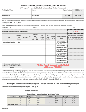 2013 TANF Summer Youth Employment Program Application