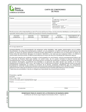Carta de Compromiso de Pago