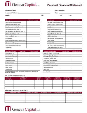 Personal Financial Statement Form